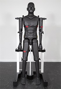 米兰平台-米兰中国
 全人体模型 POPEYE10